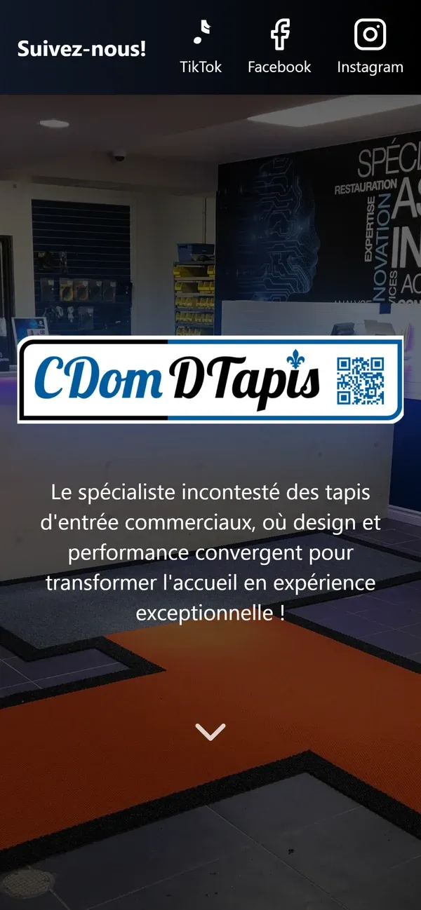 Page d’accueil du site de CDOMDTAPIS, vue sur téléphone
